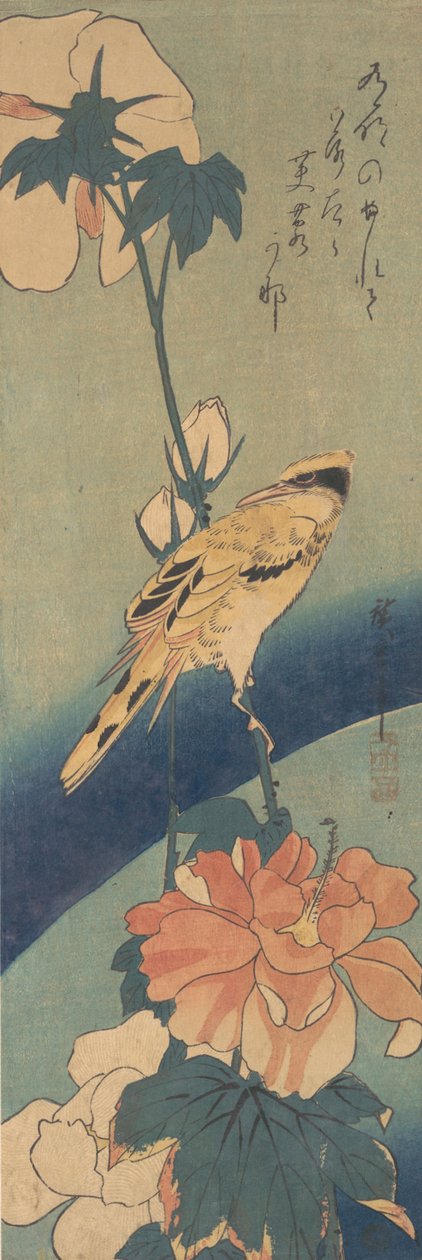 栖息在玫瑰花茎上的黑枕头黄鹂，约1834年，约1834年。 作者 安藤广重