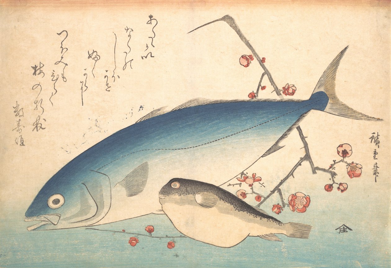 河豚和稻田鱼，选自《鱼的品种》系列，19世纪40年代。 作者 安藤广重