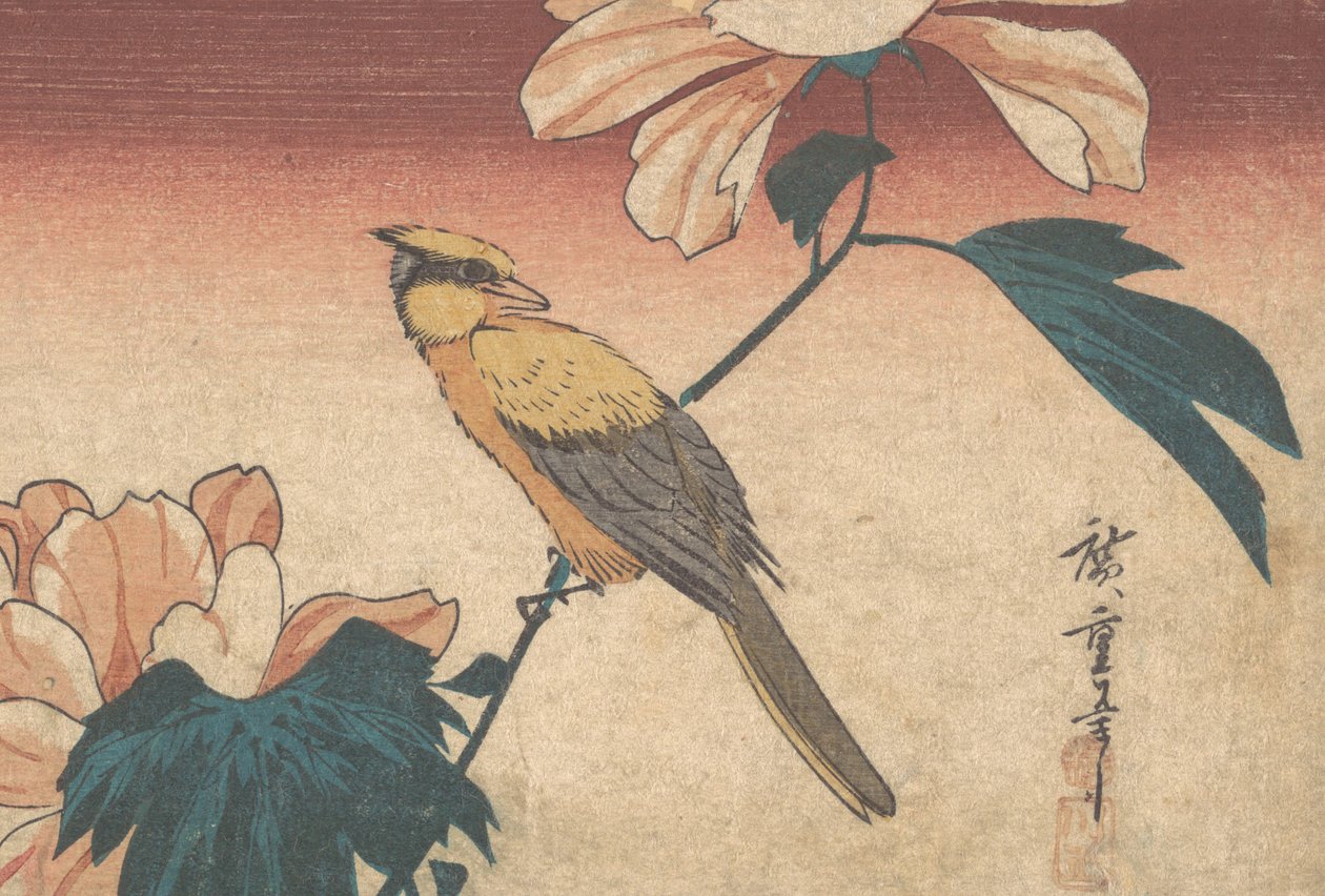 Hibiscus Mutabilis and Jay, ca. 1840., ca. 1840. 作者 安藤广重