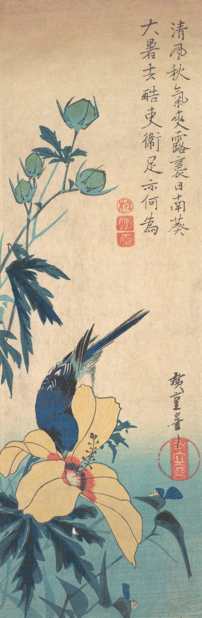 Hibiscus and Bluebird, ca. 1832., ca. 1832. 作者 安藤广重