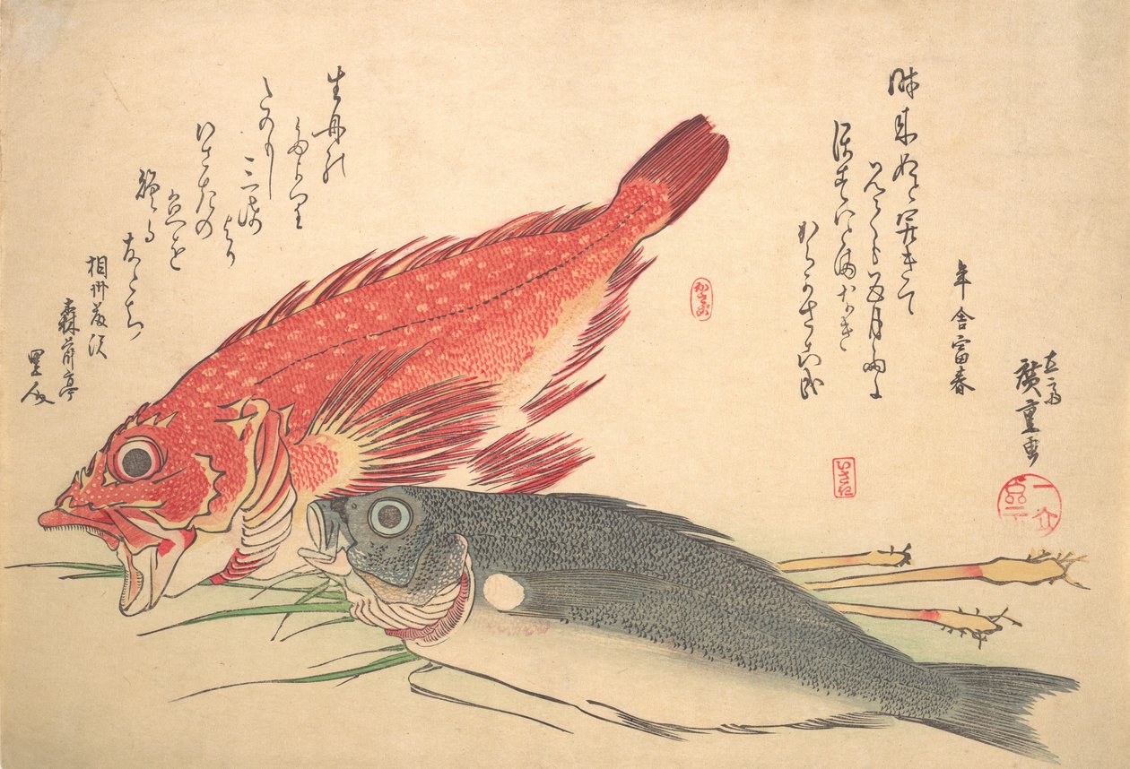 Isaki和Kasago鱼，来自Uozukushi Every Variety of Fish系列，19世纪30年代。 作者 安藤广重