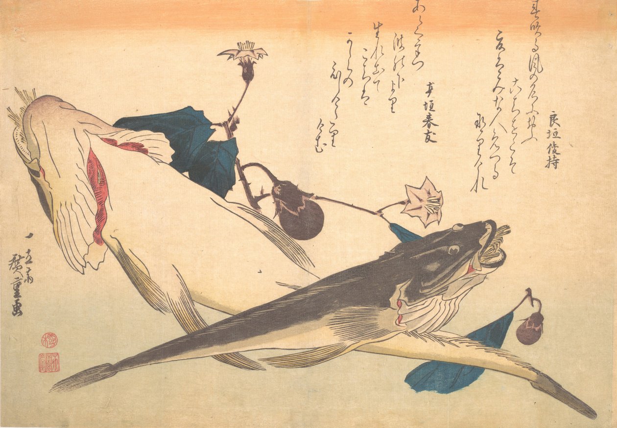 高知鱼与茄子，出自《鱼津居士各种鱼》系列，1830年代。 作者 安藤广重