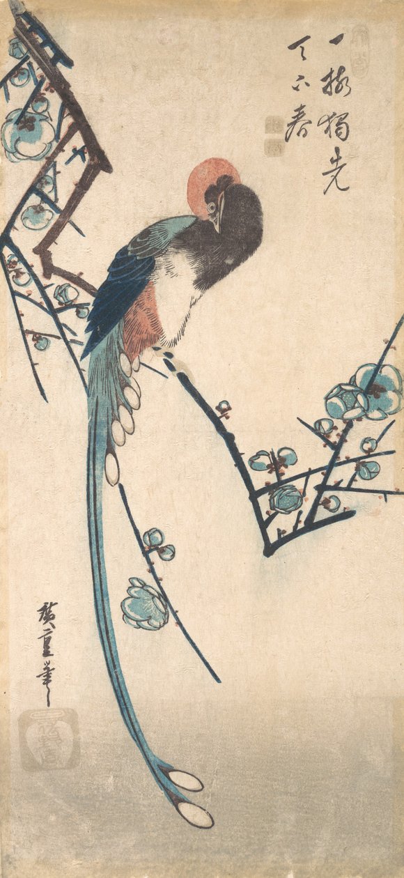 长尾鸟。 作者 安藤广重