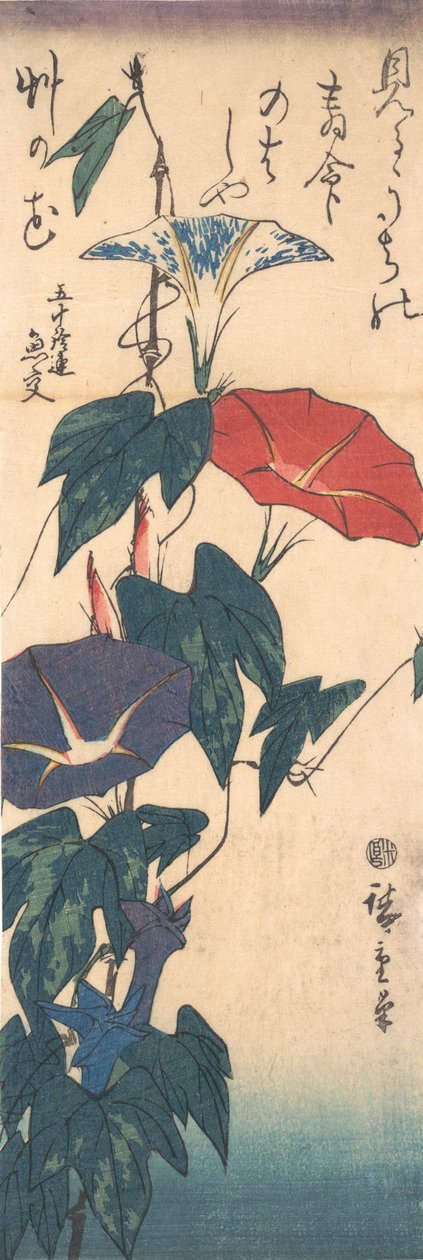 Morning Glories, c. 1843, 约1843年。 作者 安藤广重