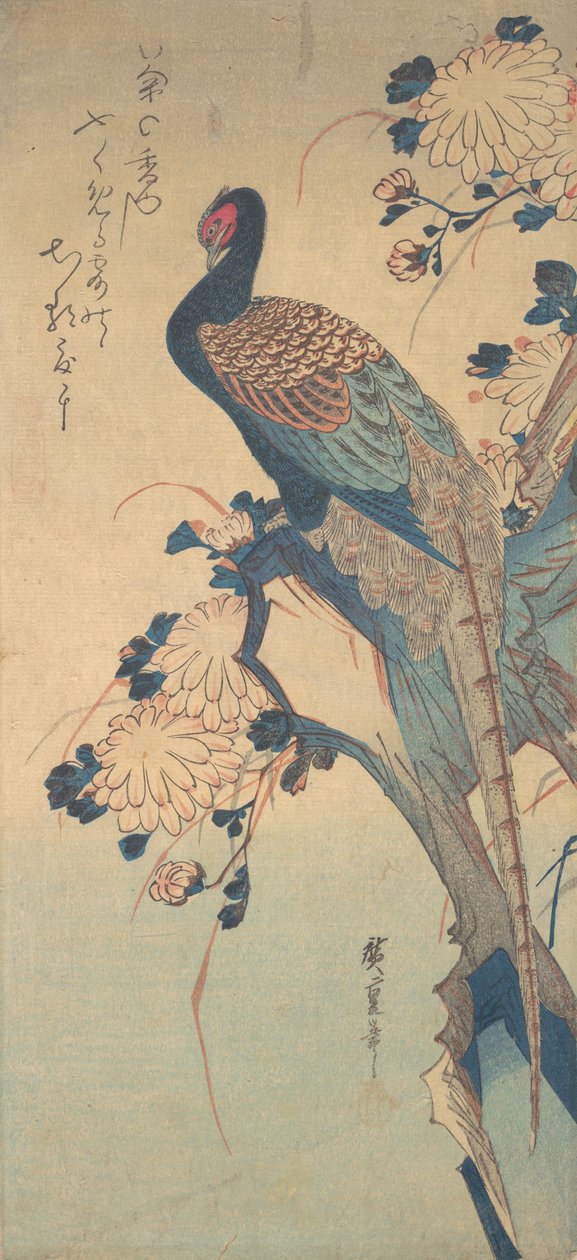 雉鸡与菊花，约1835.，约1835.。 作者 安藤广重