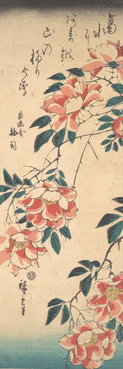 玫瑰花，约1843年，约1843年。 作者 安藤广重