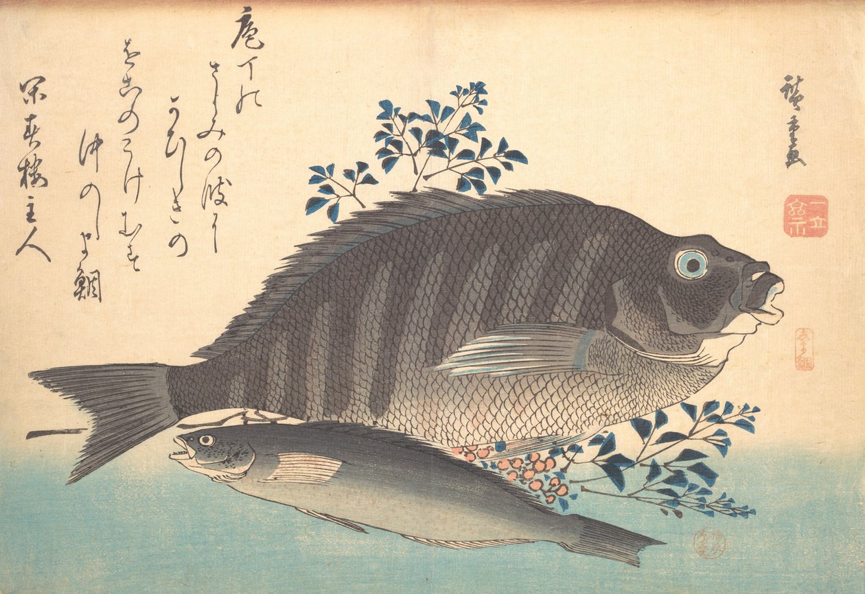 岛台和Ainame鱼，出自《Uozukushi Every Variety of Fish》系列，19世纪40年代。 作者 安藤广重