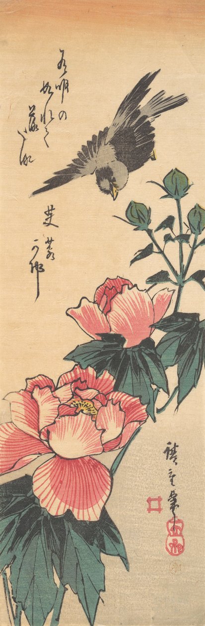 Sparrow and Hibiscus, ca. 1834., ca. 1834. 作者 安藤广重