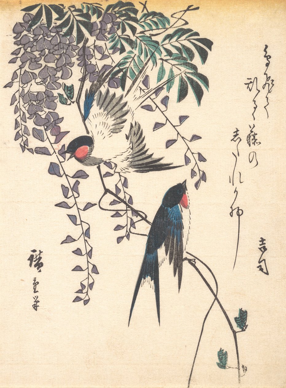 燕子和紫藤，19世纪40年代中期，19世纪40年代中期。 作者 安藤广重