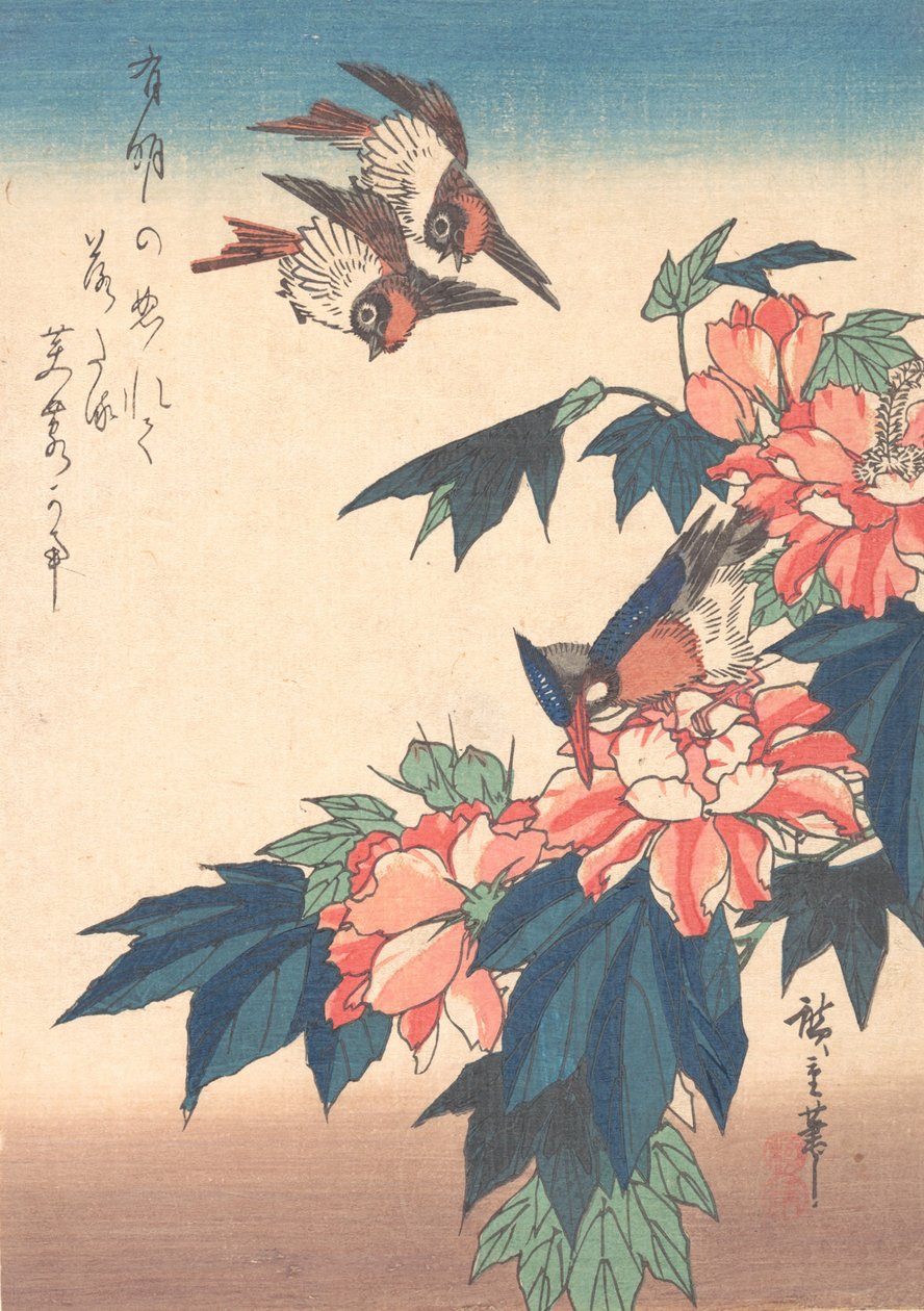 Swallows and Kingfisher with Rose Mallows , ca. 1838., ca. 1838. 作者 安藤广重