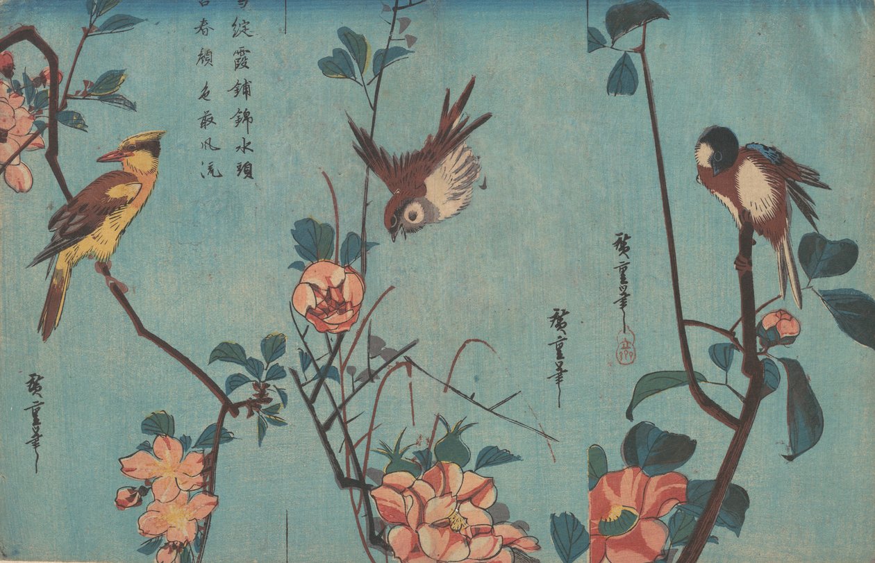 右边是山雀和山茶花，中间是麻雀和野玫瑰，还有黑枕金莺......，约创作于 1833 年。 作者 安藤广重