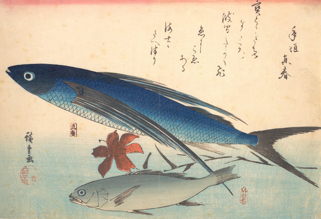 Tobiuo和Ishimochi鱼，来自Uozukushi Every Variety of Fish系列，1840年代。 作者 安藤广重