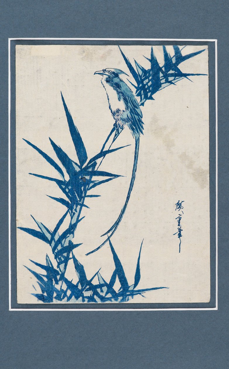 浮世绘印刷品--蓝色枝头的鸟，约1820-1858年 作者 安藤广重