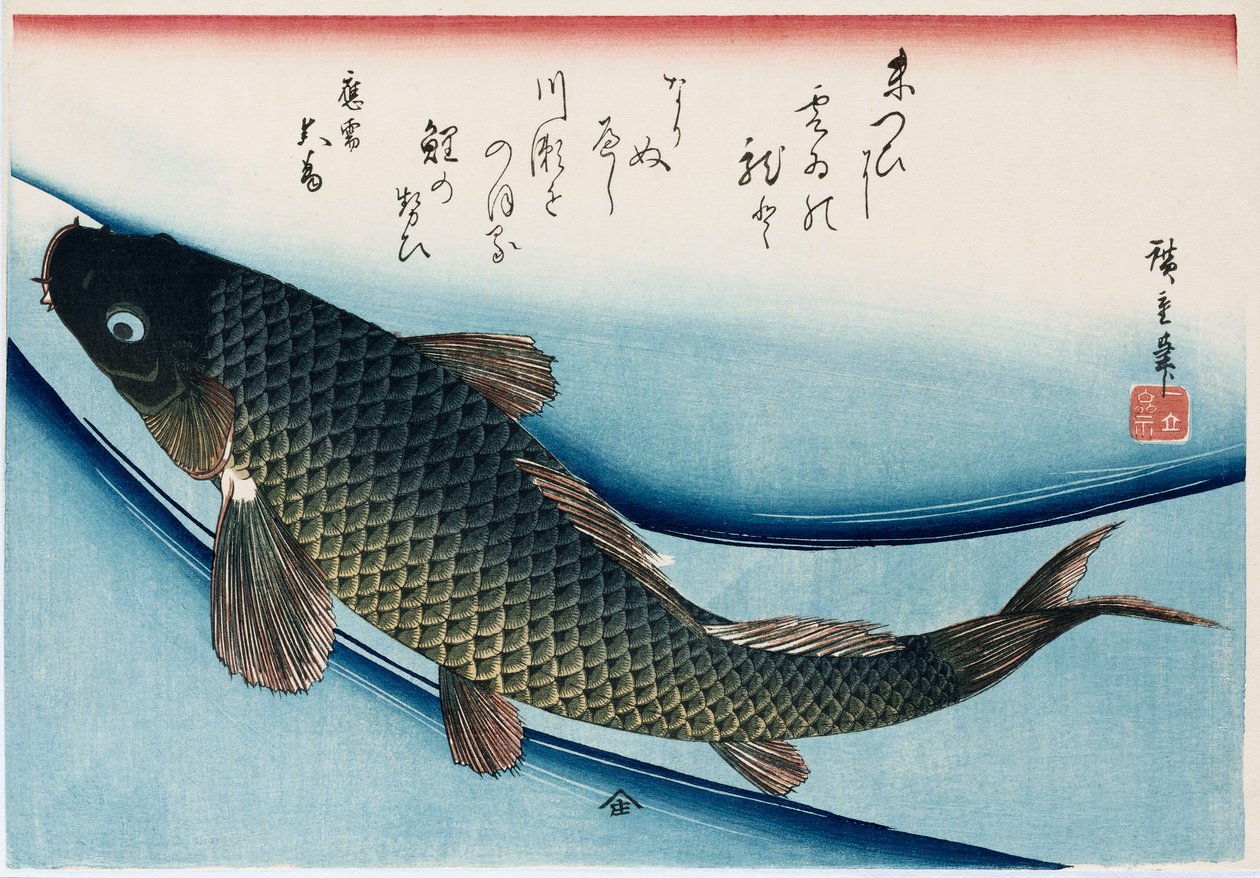 “鲤鱼”，来自“鱼类收藏”系列 作者 安藤或歌川广重