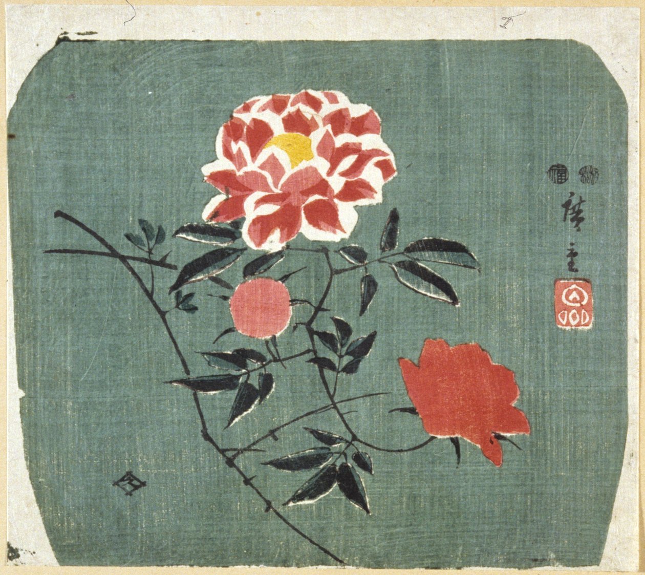扇面印花：玫瑰 作者 安藤或歌川广重