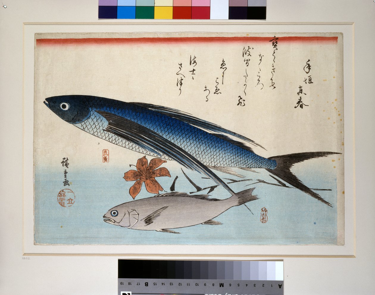 飞鱼、石首鱼和百合花 作者 安藤或歌川广重