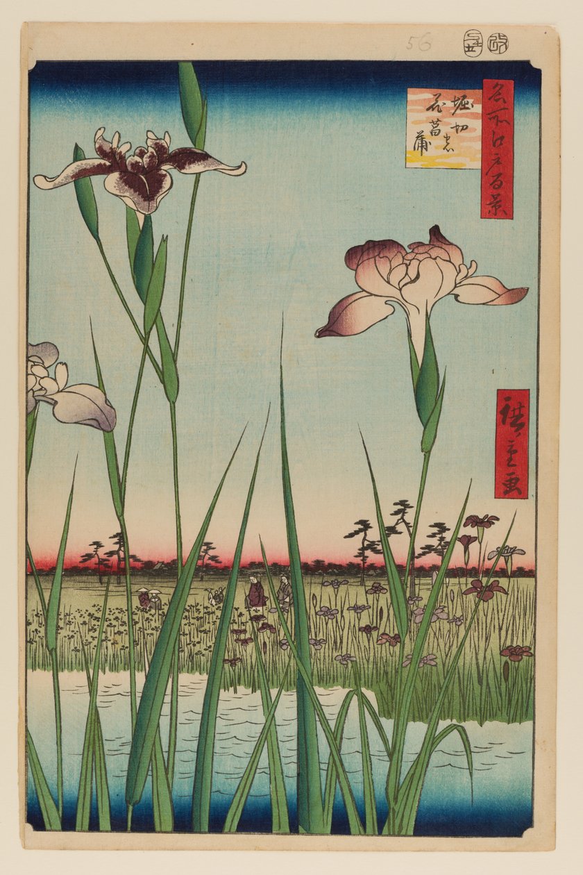 堀切鸢尾花园（堀切花房） 作者 安藤或歌川广重