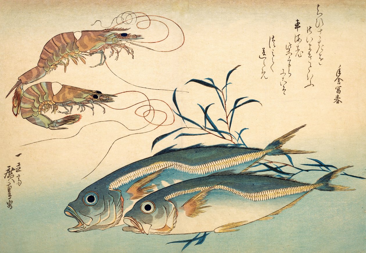 日本马鲭鱼和日本虎虾（彩色木版画） 作者 安藤或歌川广重