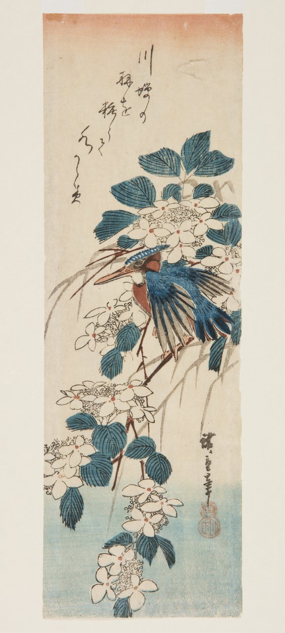 翠鸟和荚蒾（彩色木版画） 作者 安藤或歌川广重