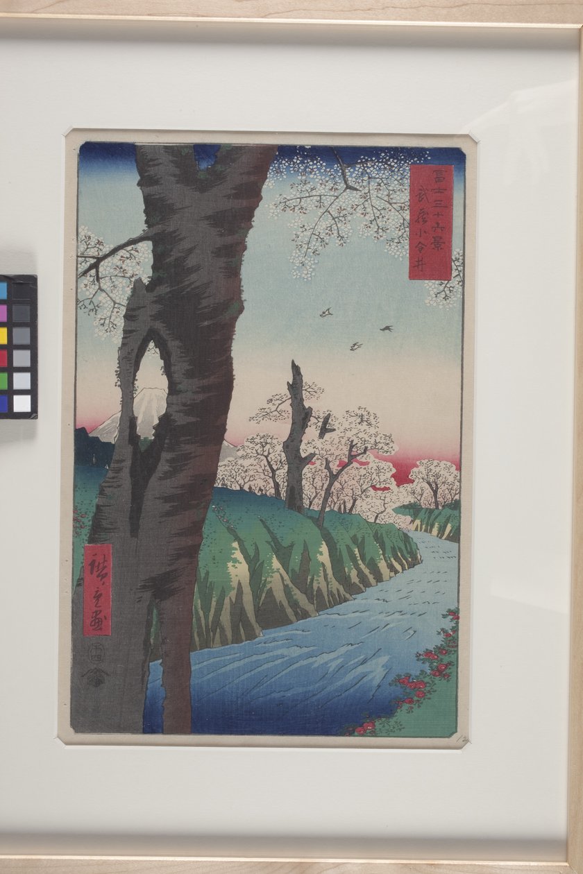 武藏国小金井（武藏小金井）（彩色木刻版画） 作者 安藤或歌川广重