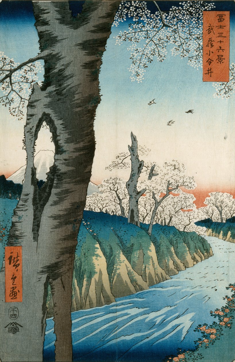 武藏省的小金井 作者 安藤或歌川广重