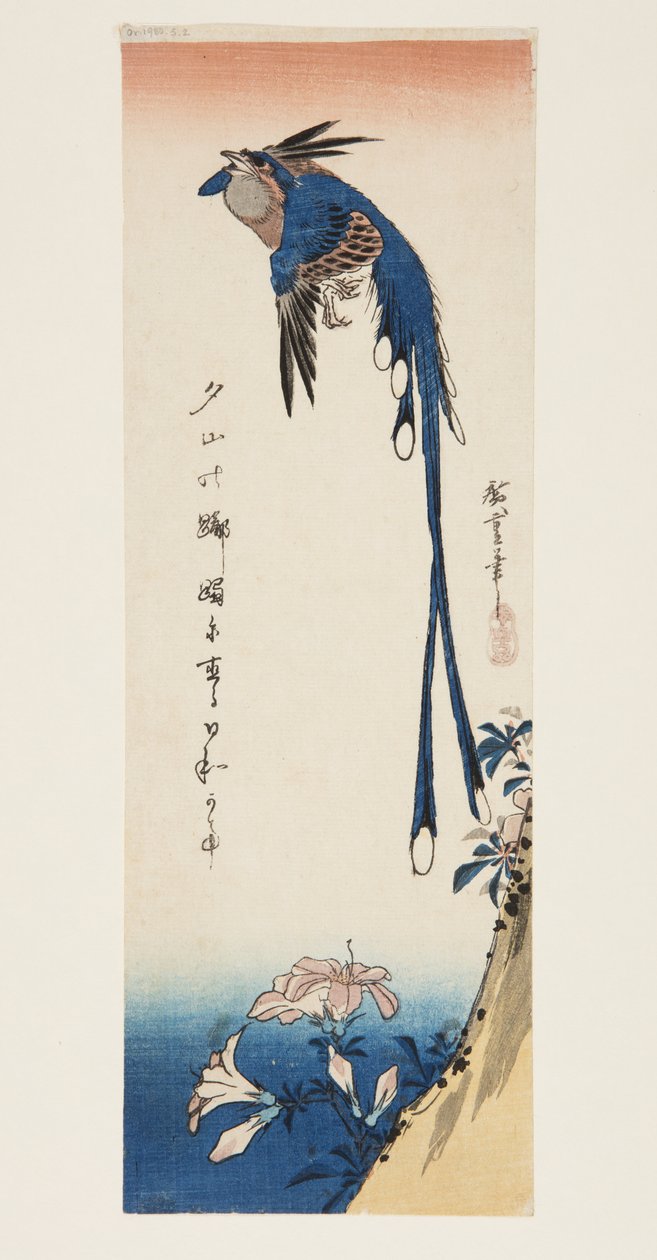 喜鹊和杜鹃花（彩色木版画） 作者 安藤或歌川广重