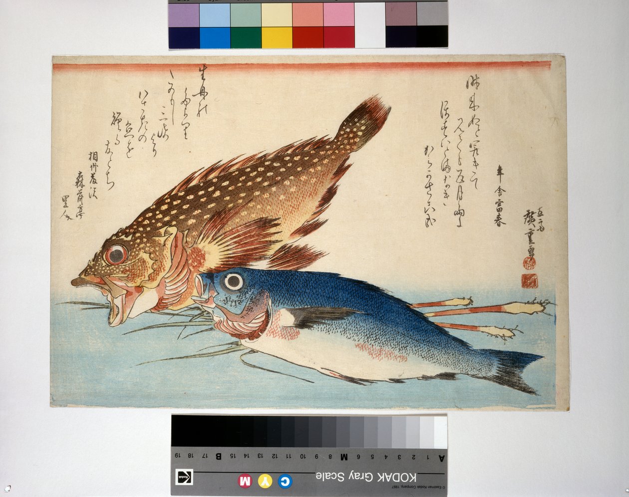 根姜蝎子鱼和矶崎鱼 作者 安藤或歌川广重