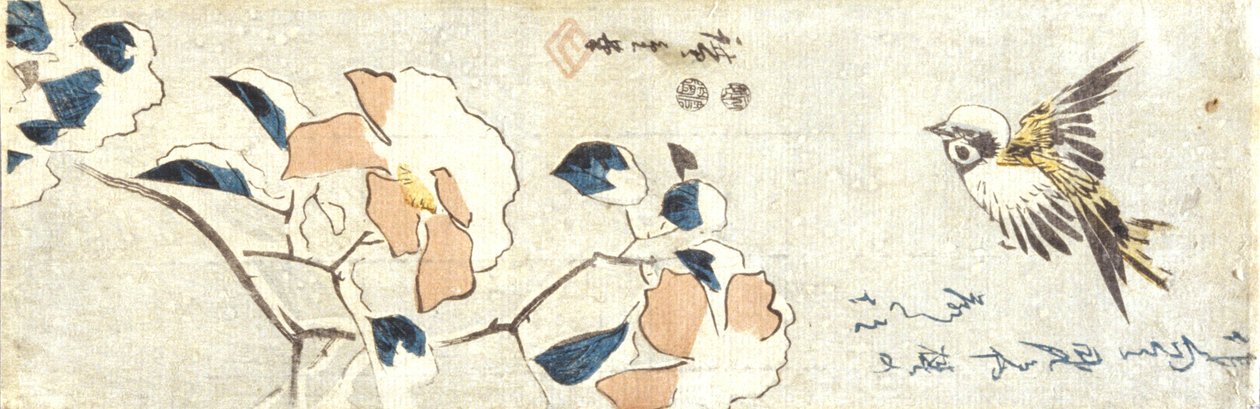 麻雀与落雪的山茶花（彩色木刻版画） 作者 安藤或歌川广重