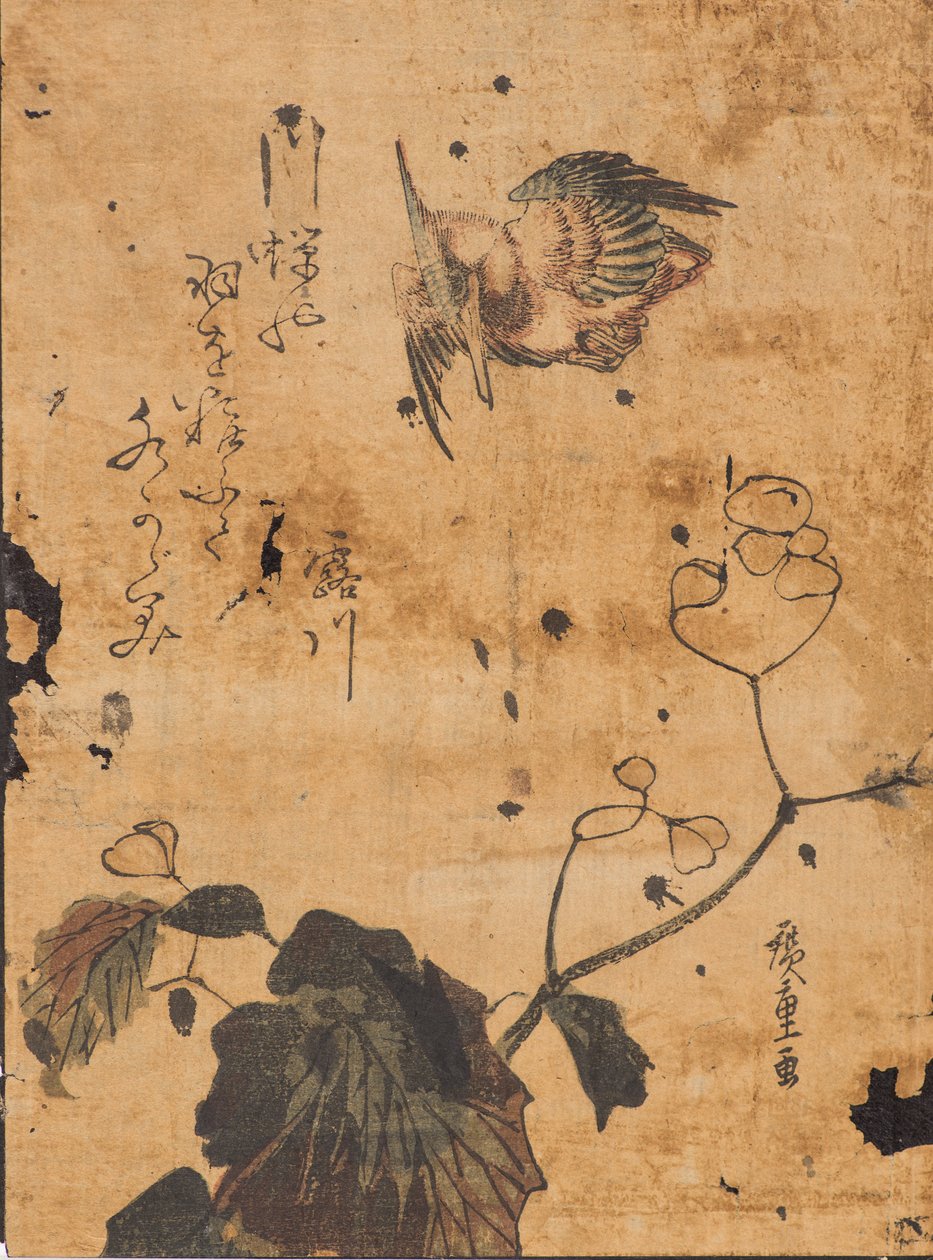 鸟类和植物的研究 作者 安藤或歌川广重