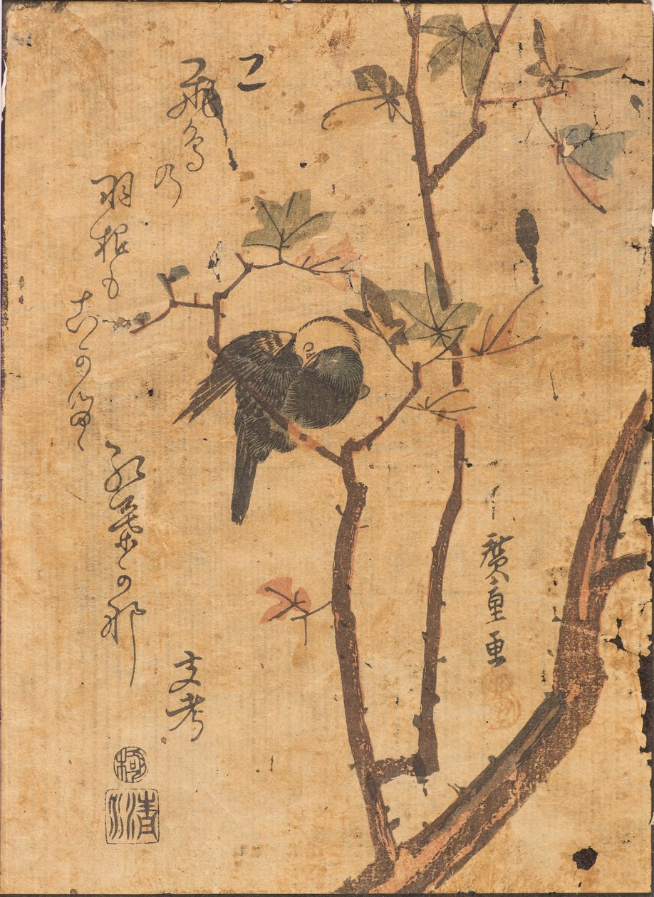 鸟在树枝上睡着的研究 作者 安藤或歌川广重