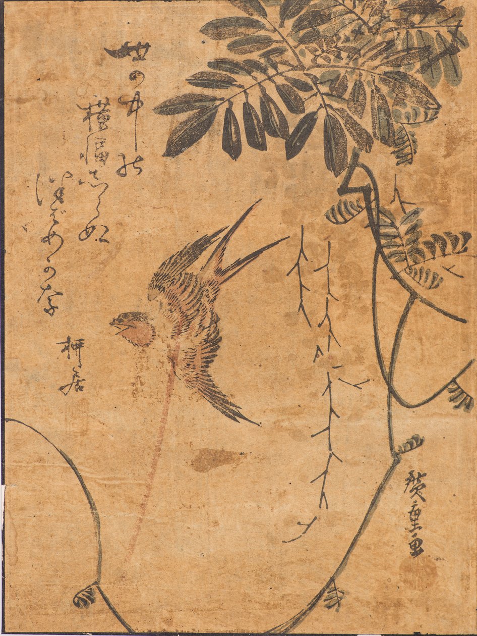 研究飞行中的鸟类和植物 作者 安藤或歌川广重