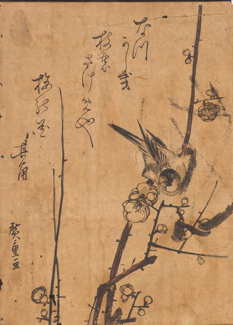 鸟栖息在树枝上的研究 作者 安藤或歌川广重
