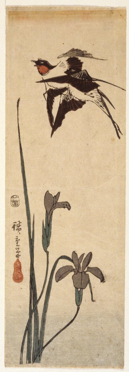 燕子和鸢尾花（彩色木刻版画） 作者 安藤或歌川广重