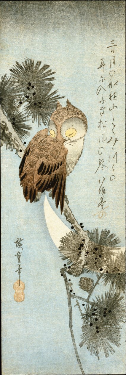 新月月亮和猫头鹰栖息在松枝上 作者 安藤或歌川广重