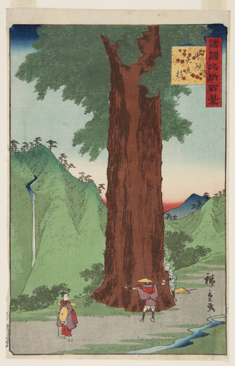 凯省的Yatate杉树(K?sh? Yatate sugi)（彩色木版画 作者 安藤或歌川广重