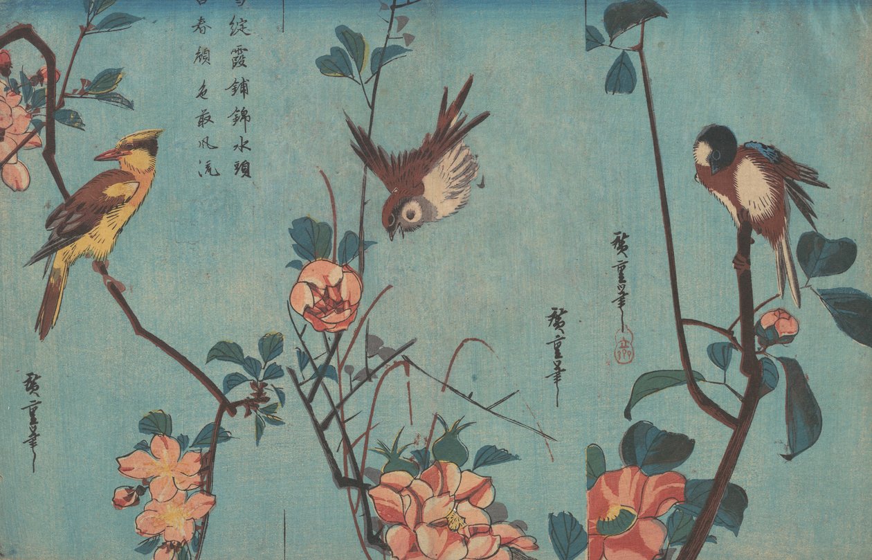 山雀和山茶花，麻雀和野玫瑰和黑枕金莺和樱花，1833年（木版画） 作者 安藤或歌川广重
