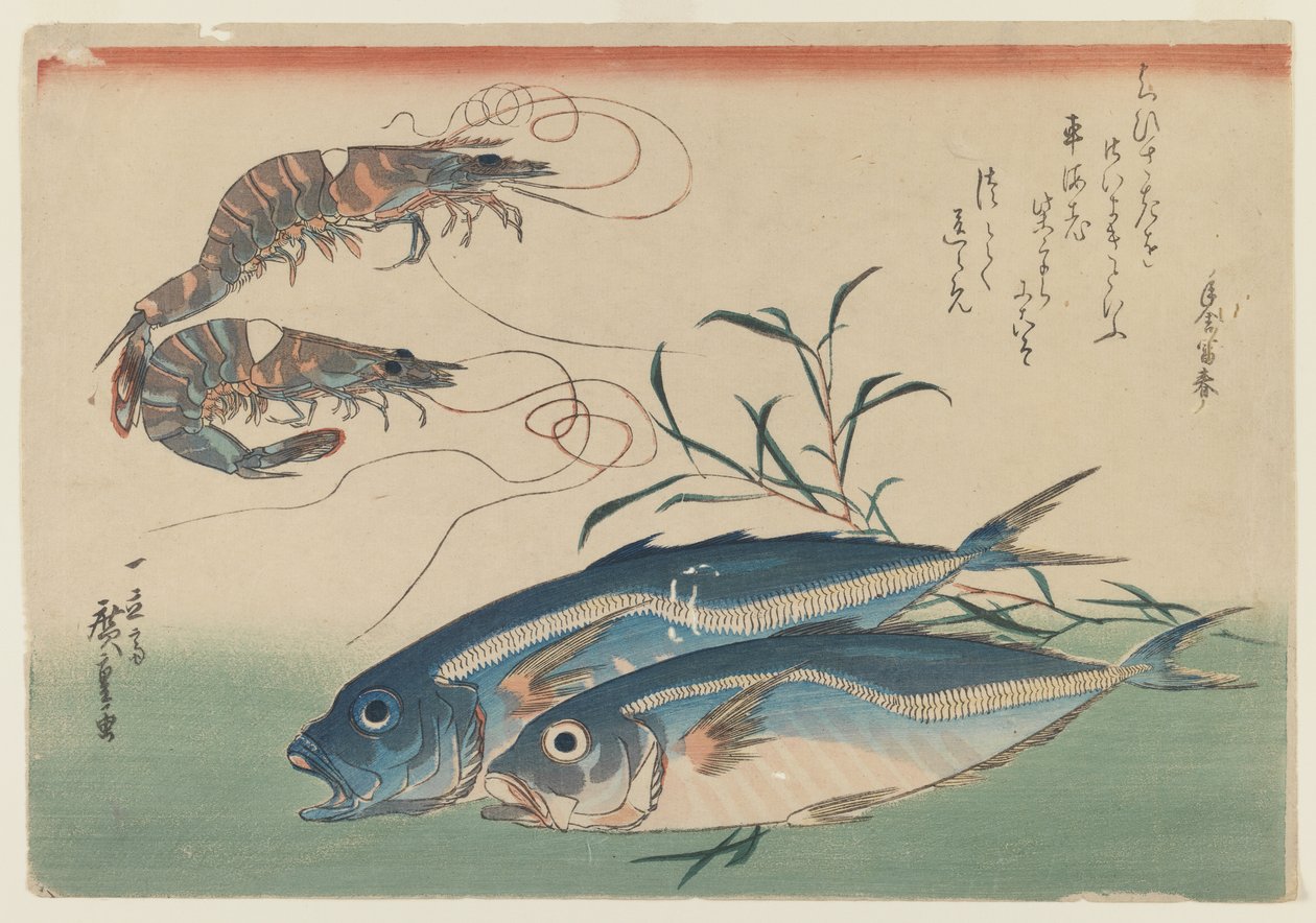 两匹虾与两匹马鲭鱼，c.1832-33（纸上的彩色木刻） 作者 安藤或歌川广重