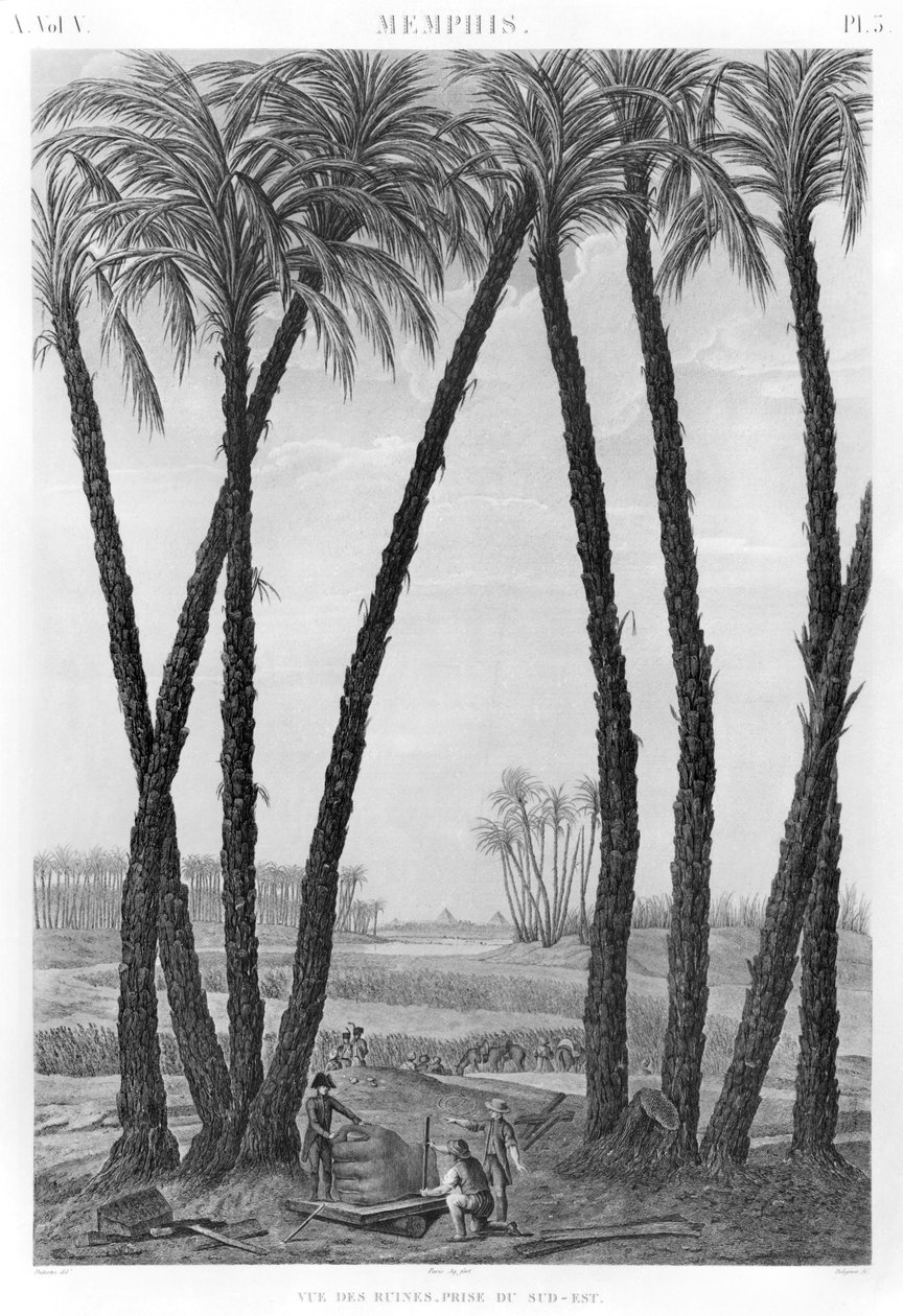 从东南方向看到的孟菲斯废墟的视图，由Jean Louis Delignon（1755-1804）刻 作者 安德烈·杜特尔特
