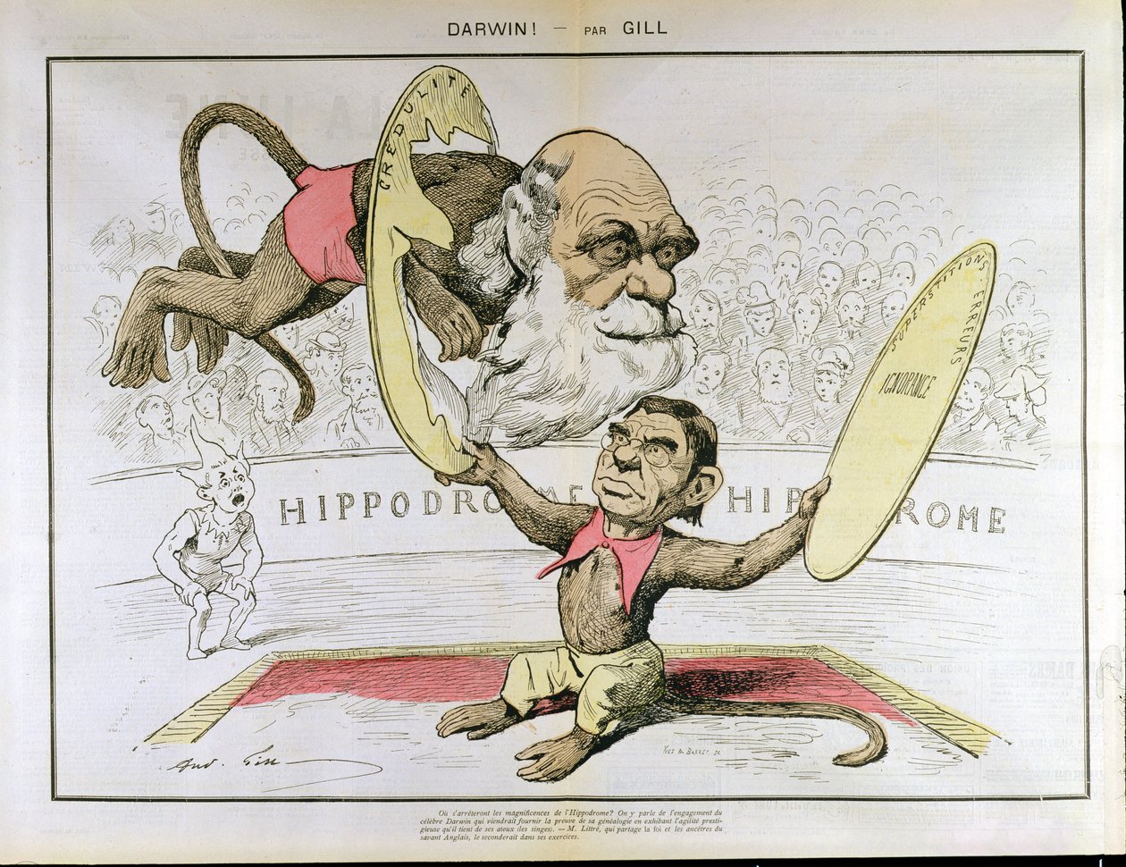 查尔斯·达尔文（1809-1882）和埃米尔·里特（1801-1881）的漫画描绘了他们在马戏团表演猴子 作者 安德鲁·吉尔