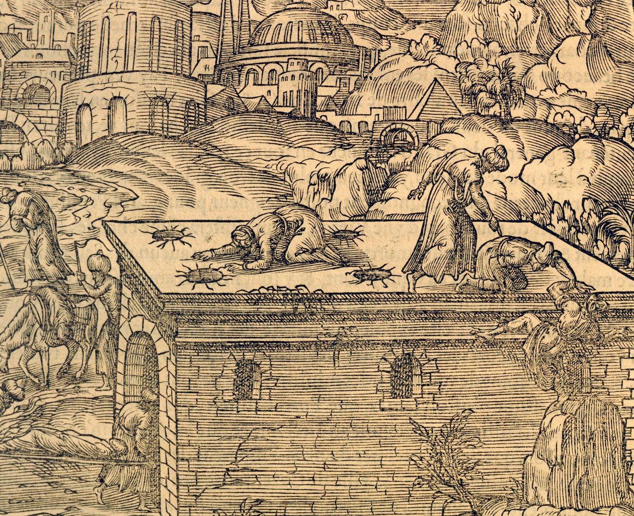 Acheldemach的基督教墓地，雕刻自《世界地图》，作者安德烈-特维特（1504-1592），巴黎。 作者 安德烈·塞维特（Andre Thevet）