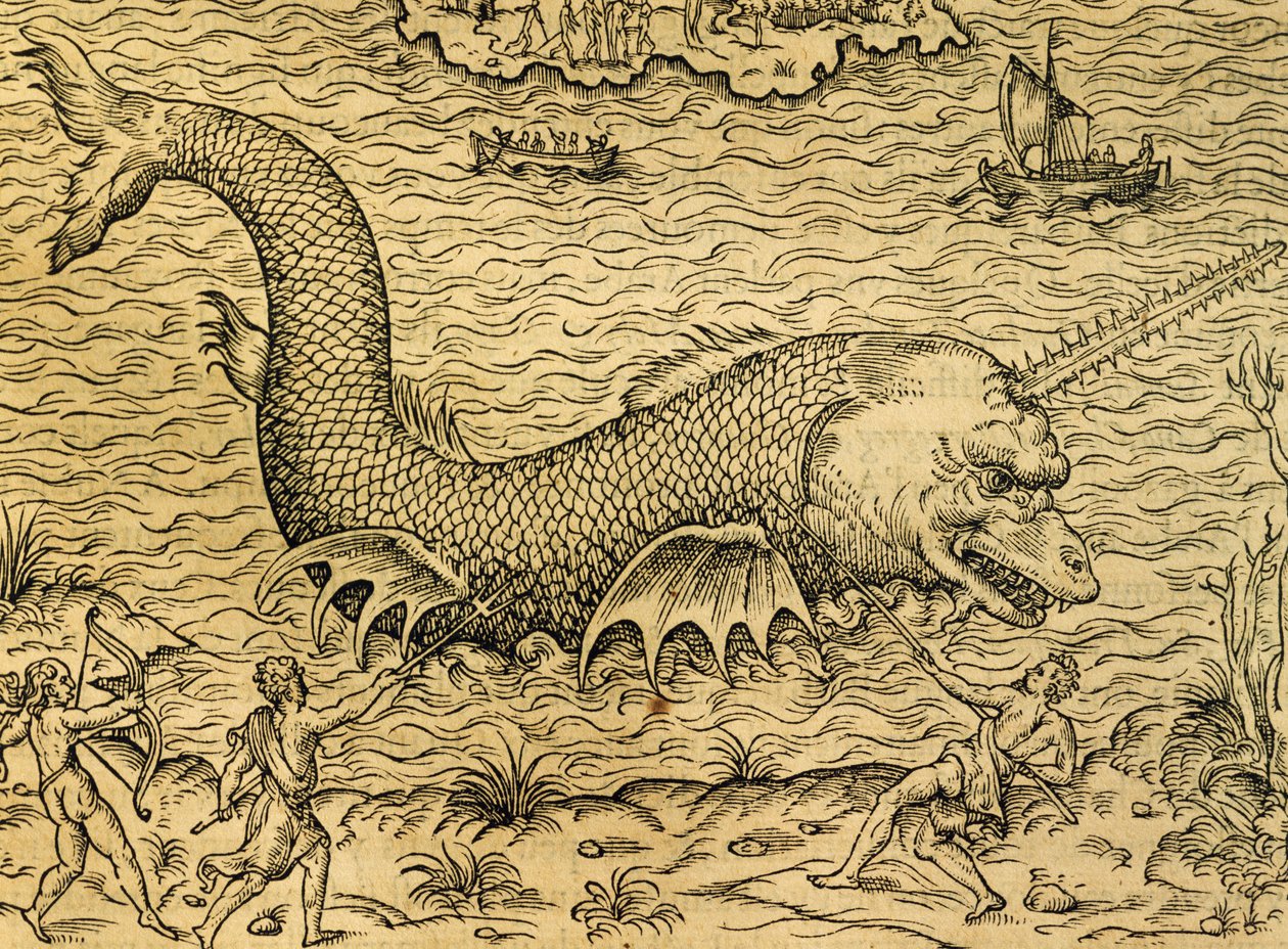 海怪，来自《宇宙学》的雕刻，作者安德烈-特维特（1504-1592），巴黎 作者 安德烈·塞维特（Andre Thevet）