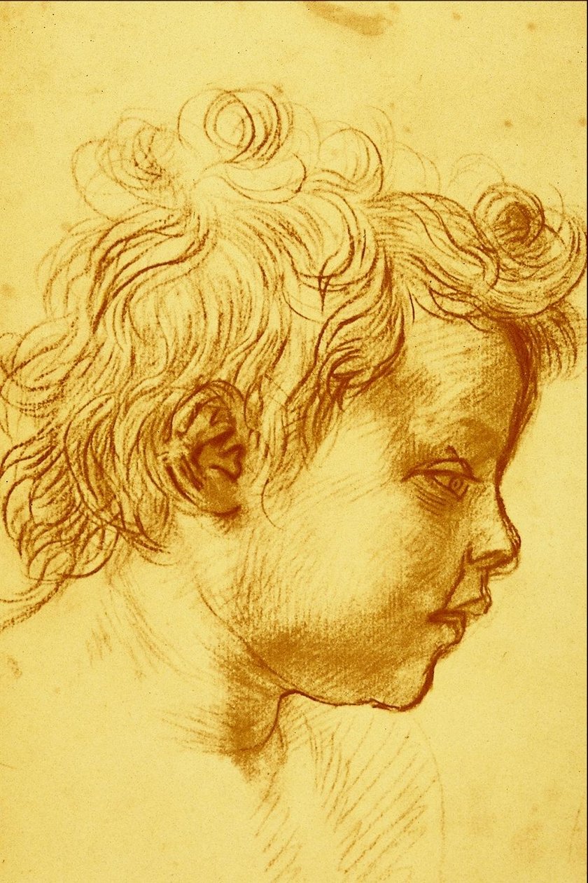 Andrea del Sarto 作者 安德里亚·德尔·萨托（Andrea del Sarto）