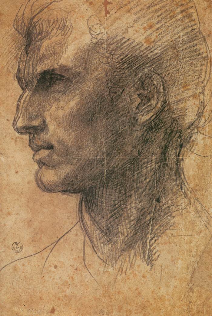 面对左侧的配置文件的人的头 作者 安德里亚·德尔·萨托（Andrea del Sarto）