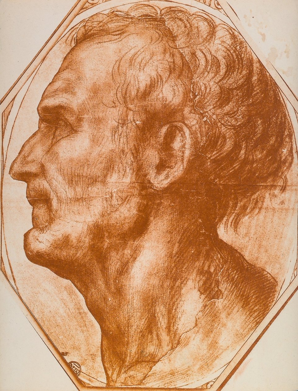 研究人头;画画 作者 安德里亚·德尔·萨托（Andrea del Sarto）