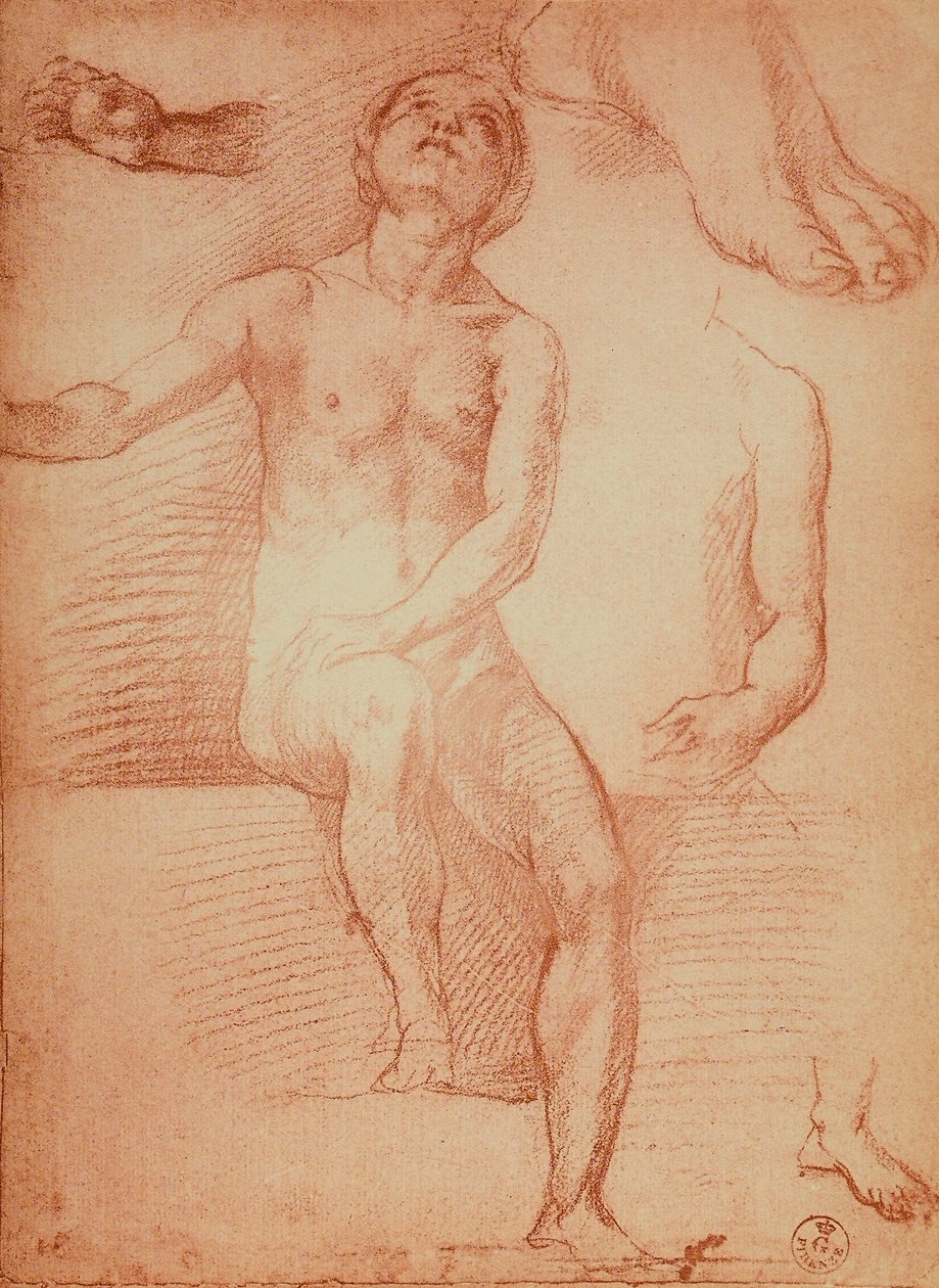 研究裸体人物和人体四肢，由Andrea del Sarto绘制。内阁图纸和版画，乌菲齐画廊，佛罗伦萨 作者 安德里亚·德尔·萨托（Andrea del Sarto）