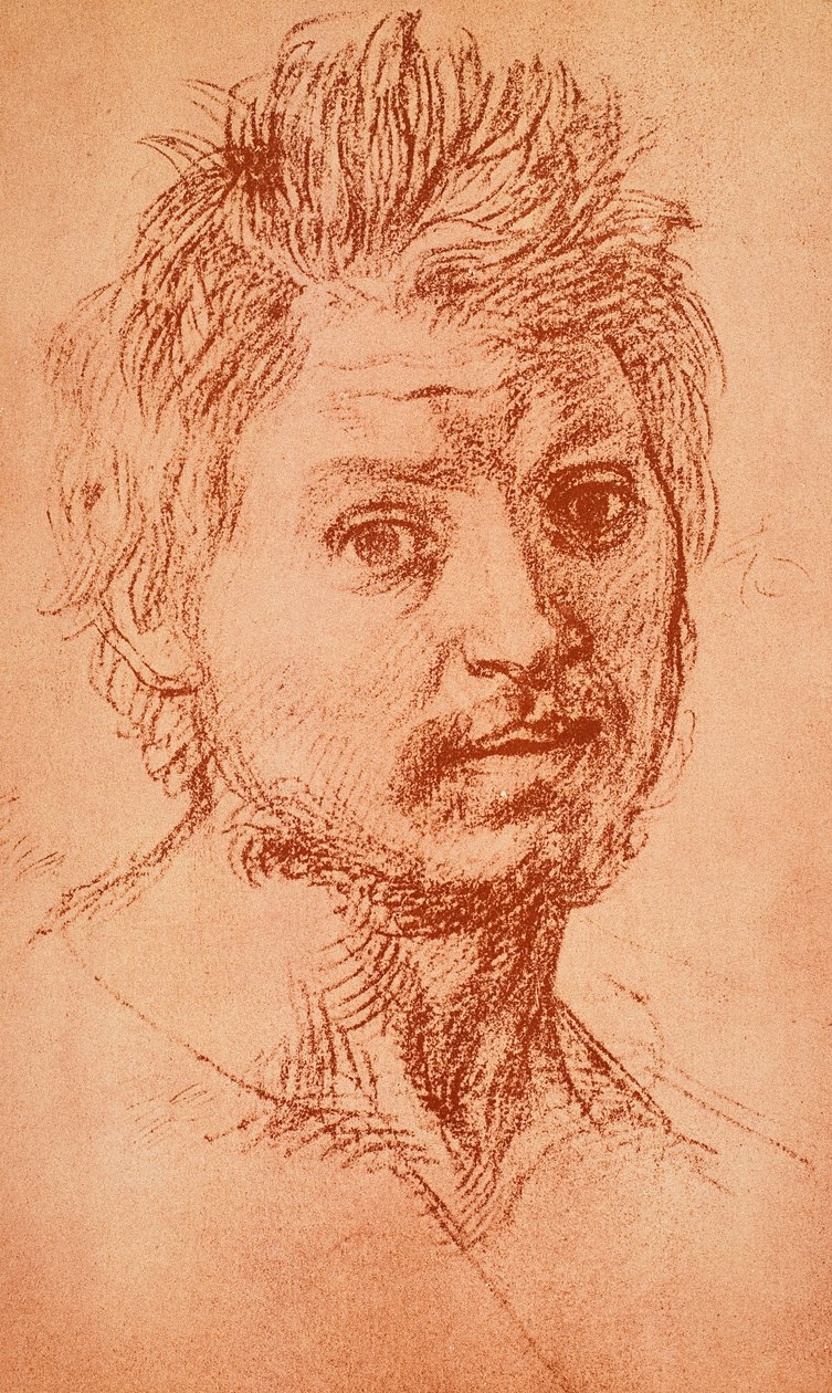 温柔的脑袋 作者 安德里亚·德尔·萨托（Andrea del Sarto）