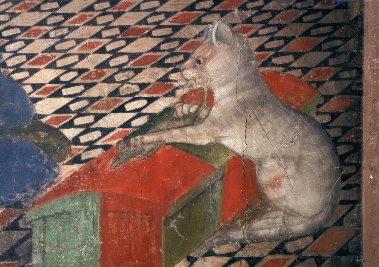 Atri，Dom，Katze - A.Delitio 作者 安德里亚·德利蒂奥（Andrea Delitio）