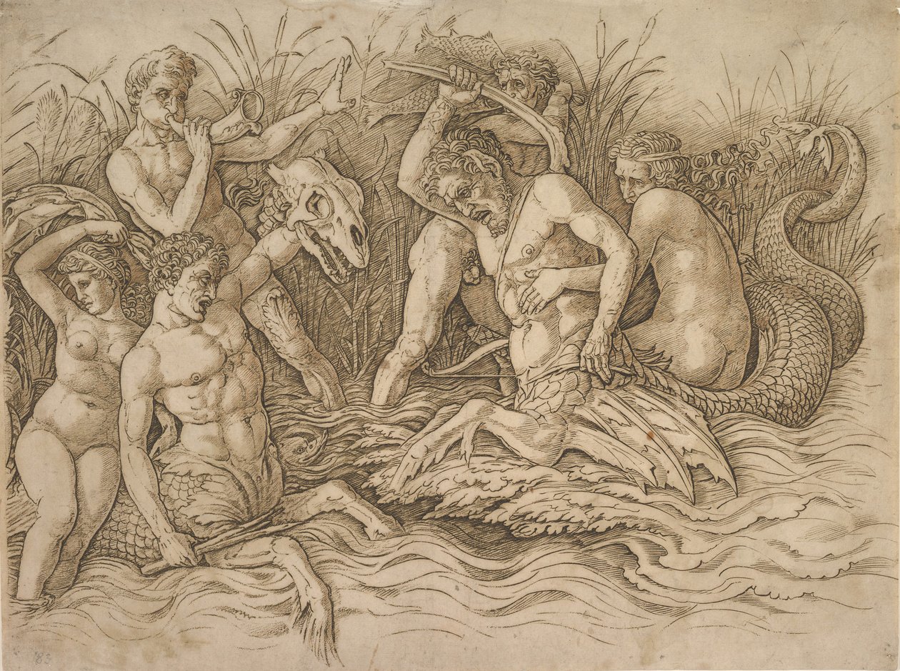 海神之战右半部，大约。 1485-88。 作者 安德里亚·曼特尼亚（Andrea Mantegna）
