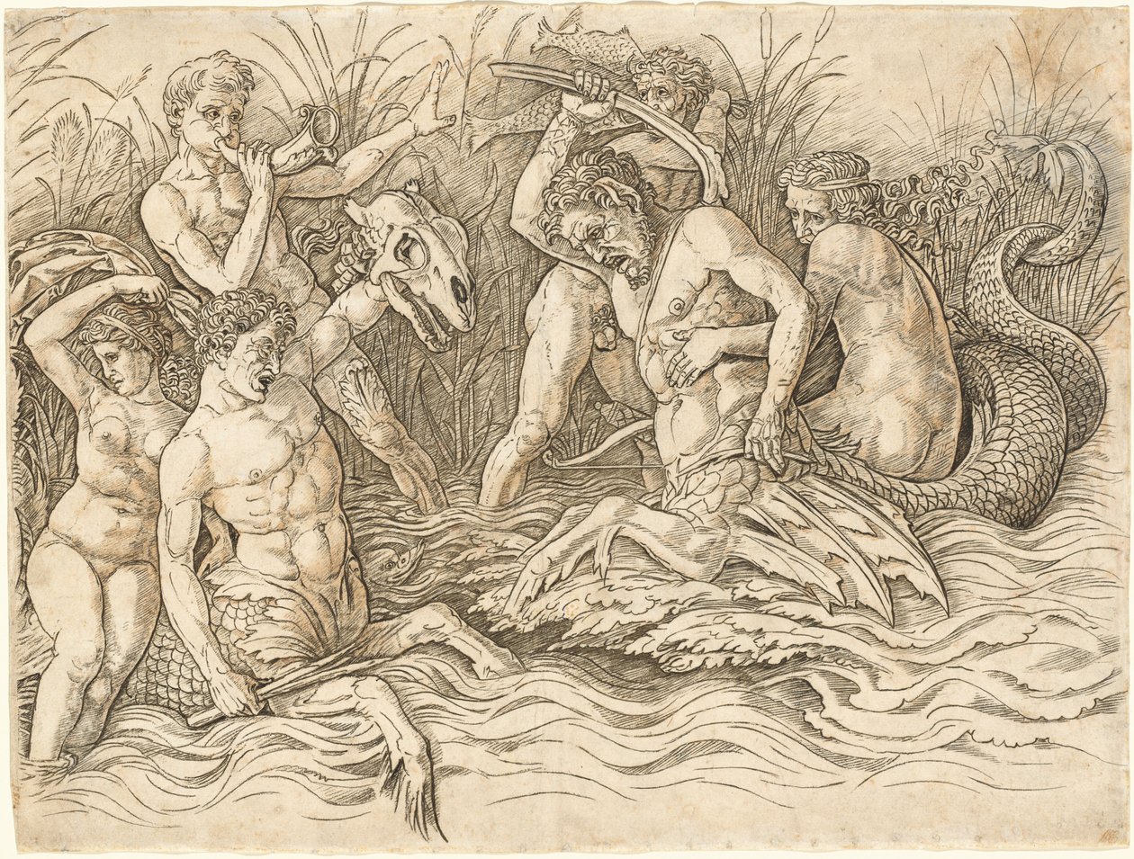 海神之战[右半部] 作者 安德里亚·曼特尼亚（Andrea Mantegna）