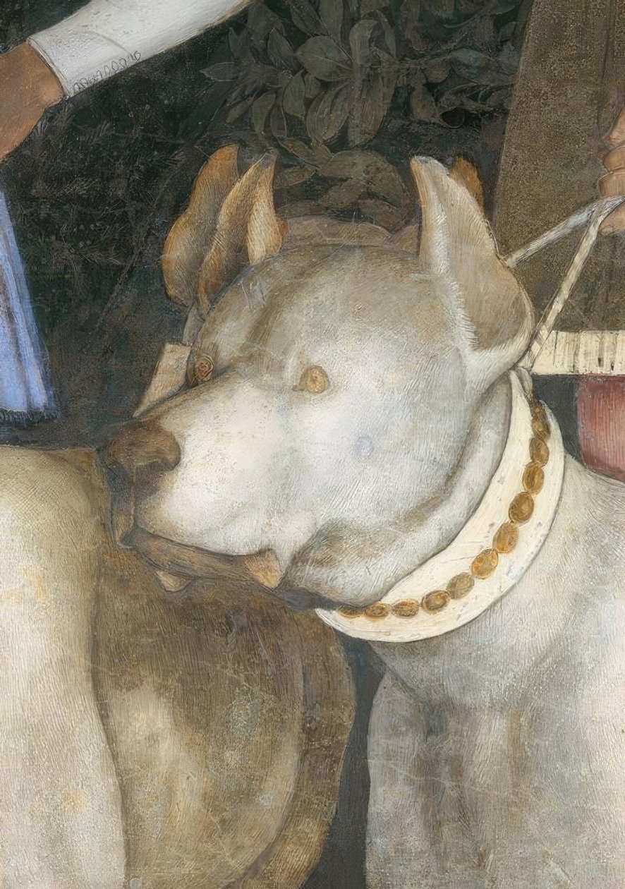 Margrave Lodovico III之间的会议。冈萨加与他 作者 安德里亚·曼特尼亚（Andrea Mantegna）